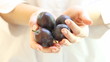 fruits in woman's hands