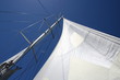 Sail