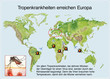 Tropenkrankheiten-Malaria