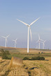 energia e agricoltura