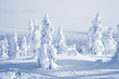 Winter Winter