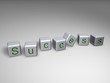 Success Würfel