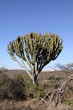 Photo: Sudafrica - Paisaje Sudafrica - Paisaje
