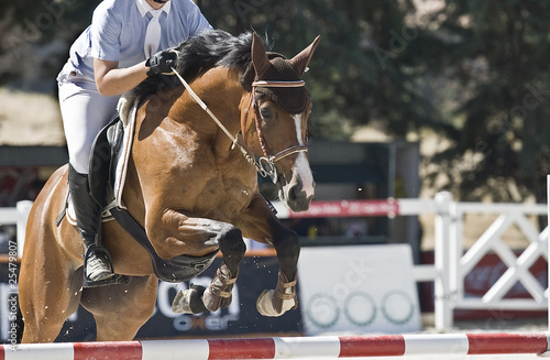 Photo: Caballo ejecutando el salto. Caballo ejecutando el salto.