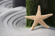 Star at beach
