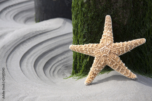 Foto: Star at beach Star at beach