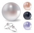 Vector collection of different pearls Vector collection of different pearls