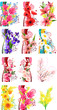 Collection of different beautiful flowers Collection of different beautiful flowers