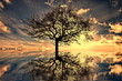 Photo: mystic moments mystic moments