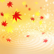 紅葉と水面