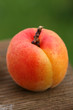 Detail of apricot on the table