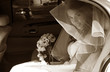 Happy bride
