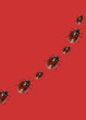 Ladybugs.