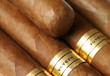 Havana Cigars Texture