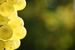 Foto: Background with grapes Background with grapes