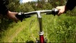 Riding a mountain bicycle in a forest