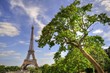 Eifel Tower - Paris (France) Eifel Tower - Paris (France)