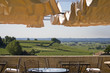 vue sur le vignoble de Saint-Emilion