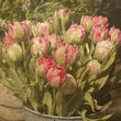 vintage wallpaper background with tulip
