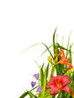 Floral border corner Floral border corner