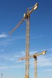 Grue 2
