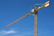 Grue 3
