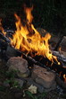 fire fire