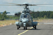 caracal_2