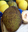 Foto: Jackfrucht Jackfrucht