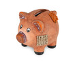 Money Pig