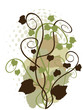 grape vine background
