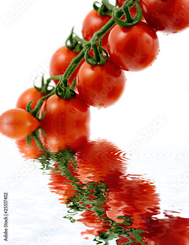 tomates cerises pour cocktails et apéritifs, fond blanc