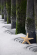 Foto: Star at beach Star at beach