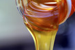 Organic Honey