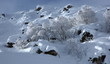Payasage de neige à Piau-Engaly