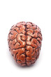 Bloody Brain on White