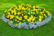 Flowerbed