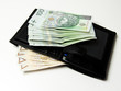 valdisz banknoty valdisz banknoty
