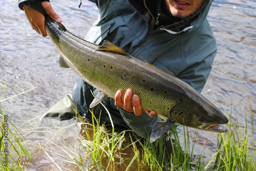 Photo: Baltic Salmon Baltic Salmon