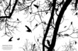 tree and bird