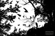 tree and bird