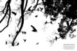 tree and bird