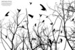 tree and bird