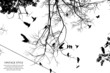 tree and bird