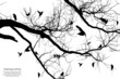 tree and bird