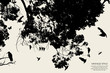 tree and bird