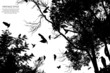 tree and bird