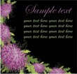 Floral background. Chrysanthemum.
