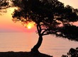 AMANECER EN LA COSTA DORADA