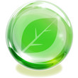 Sphere　葉